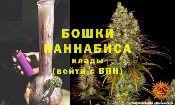 spice Гусь-Хрустальный