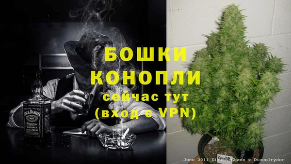 spice Гусь-Хрустальный